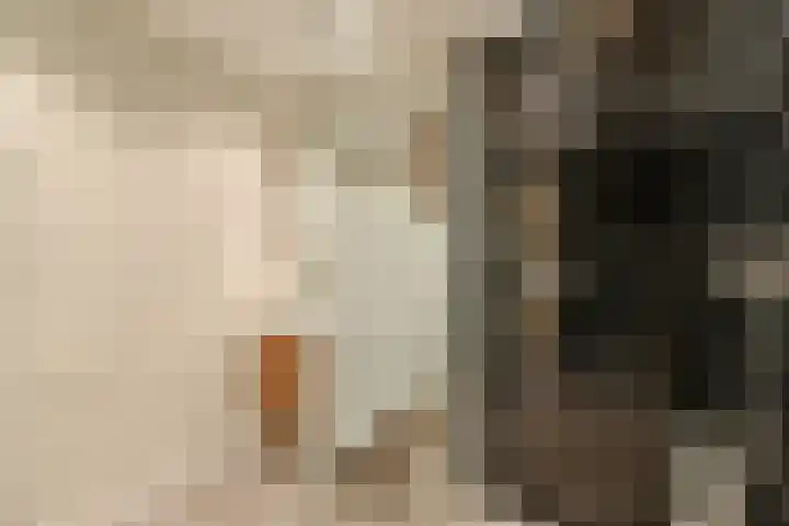 Theodora Versteeghstraat 15 Pijnacker thumbnail 19