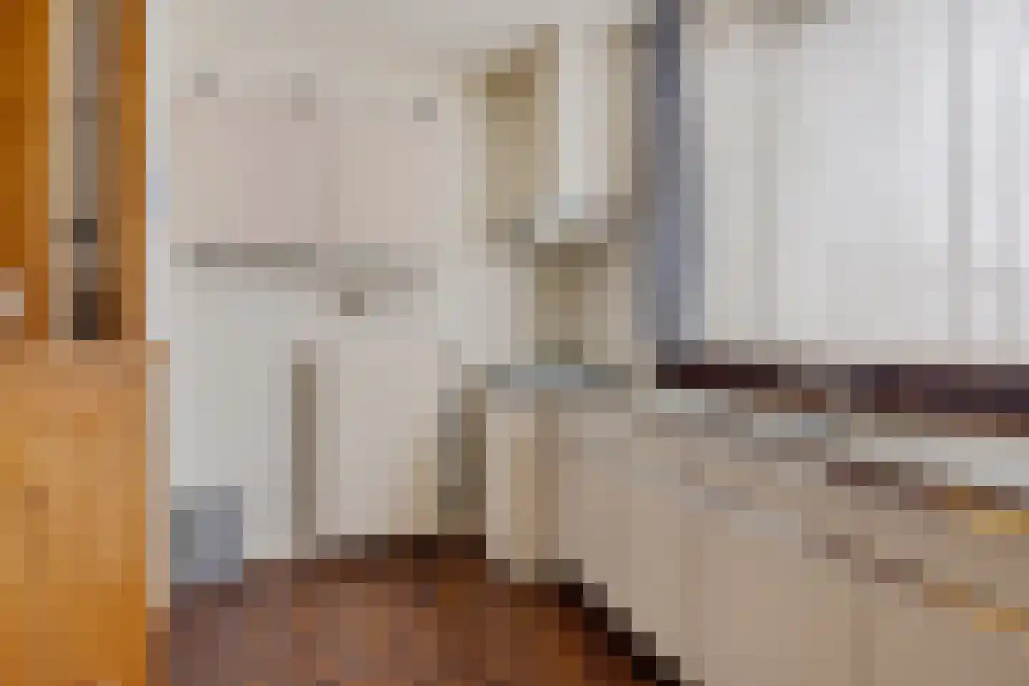 Theodora Versteeghstraat 60 Hengelo thumbnail 15