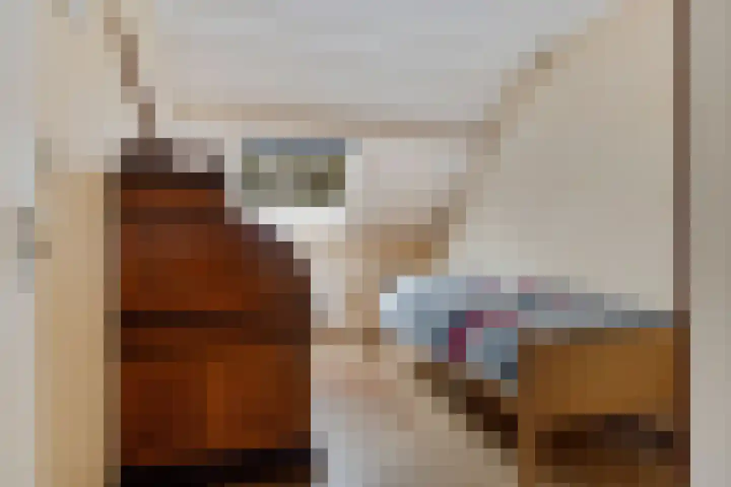 Theodora Versteeghstraat 60 Hengelo thumbnail 25