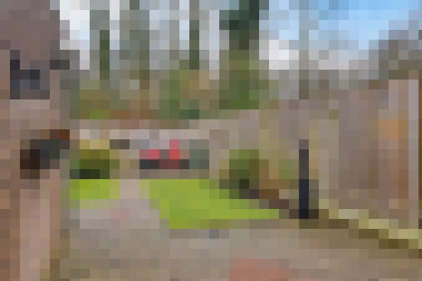 Theodora Versteeghstraat 60 Hengelo thumbnail 36