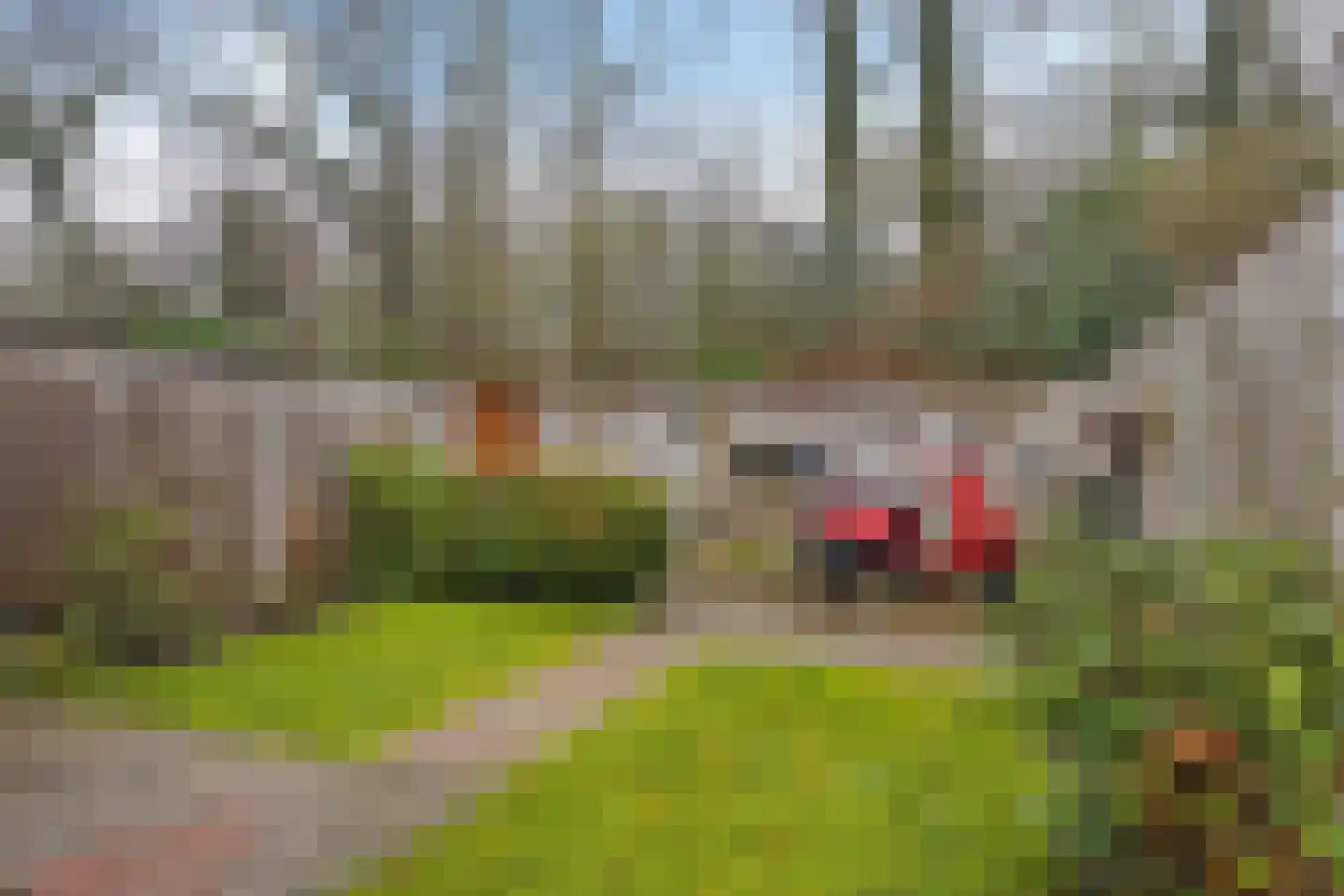 Theodora Versteeghstraat 60 Hengelo thumbnail 38