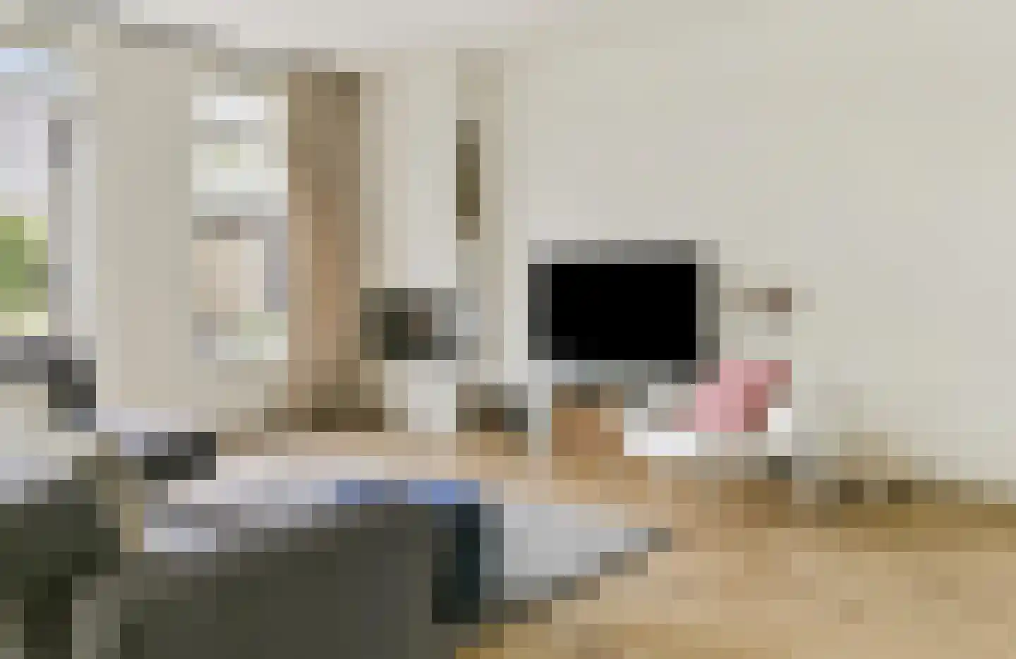 Theodorapolder 31 Amersfoort thumbnail 15