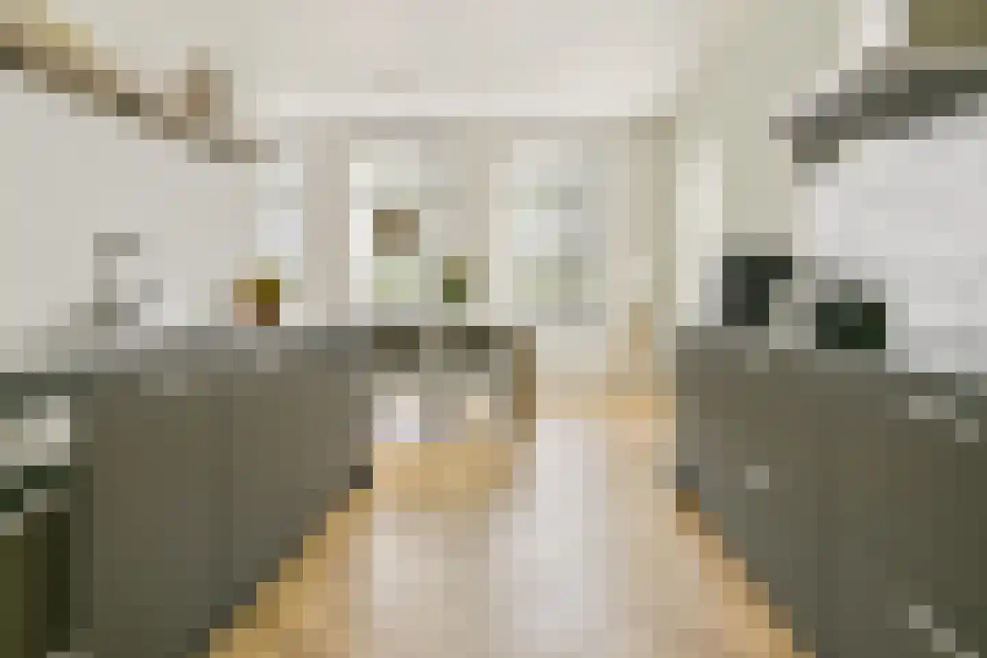 Theodorapolder 31 Amersfoort thumbnail 19