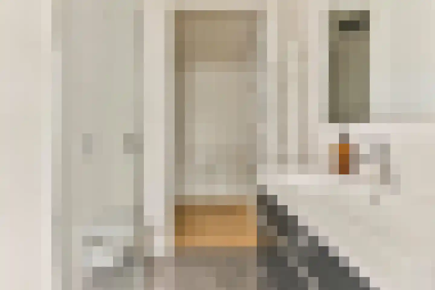 Theodorapolder 31 Amersfoort thumbnail 28