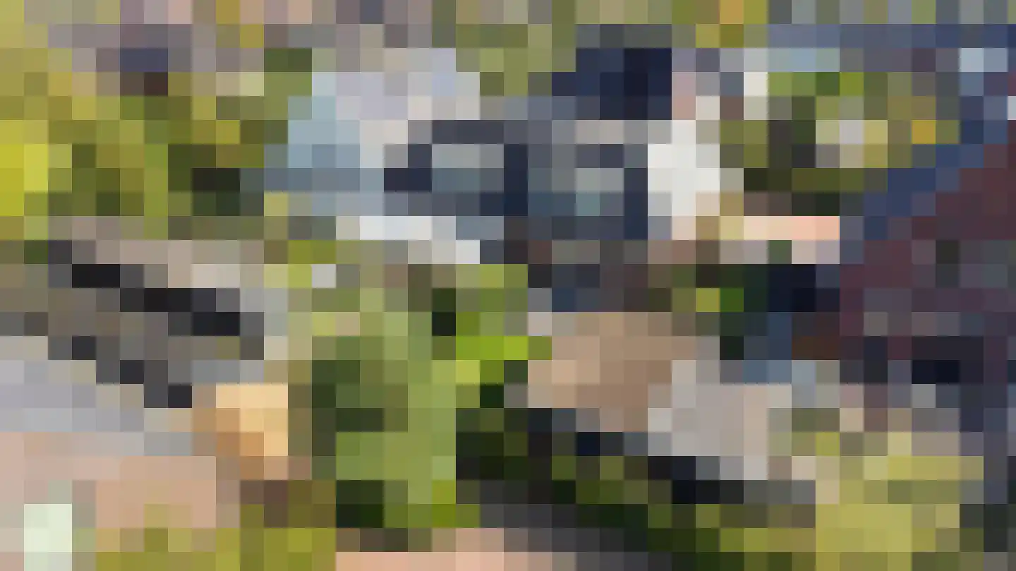 Theodorapolder 31 Amersfoort thumbnail 34
