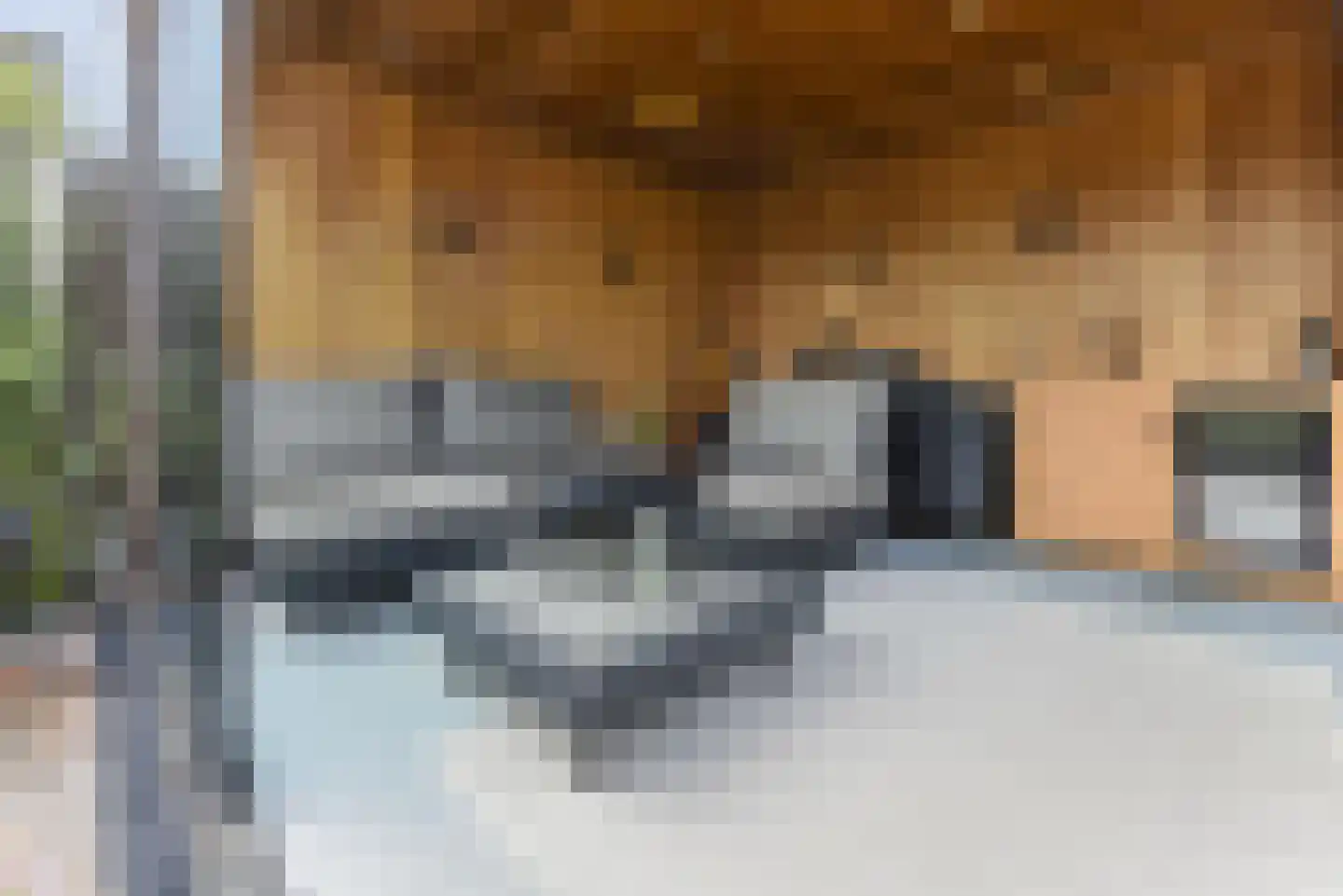 Theodorapolder 31 Amersfoort thumbnail 35