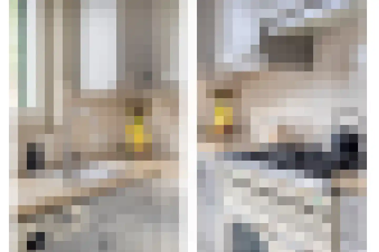 Théodore Schaepkensstraat 1 Herkenbosch thumbnail 13