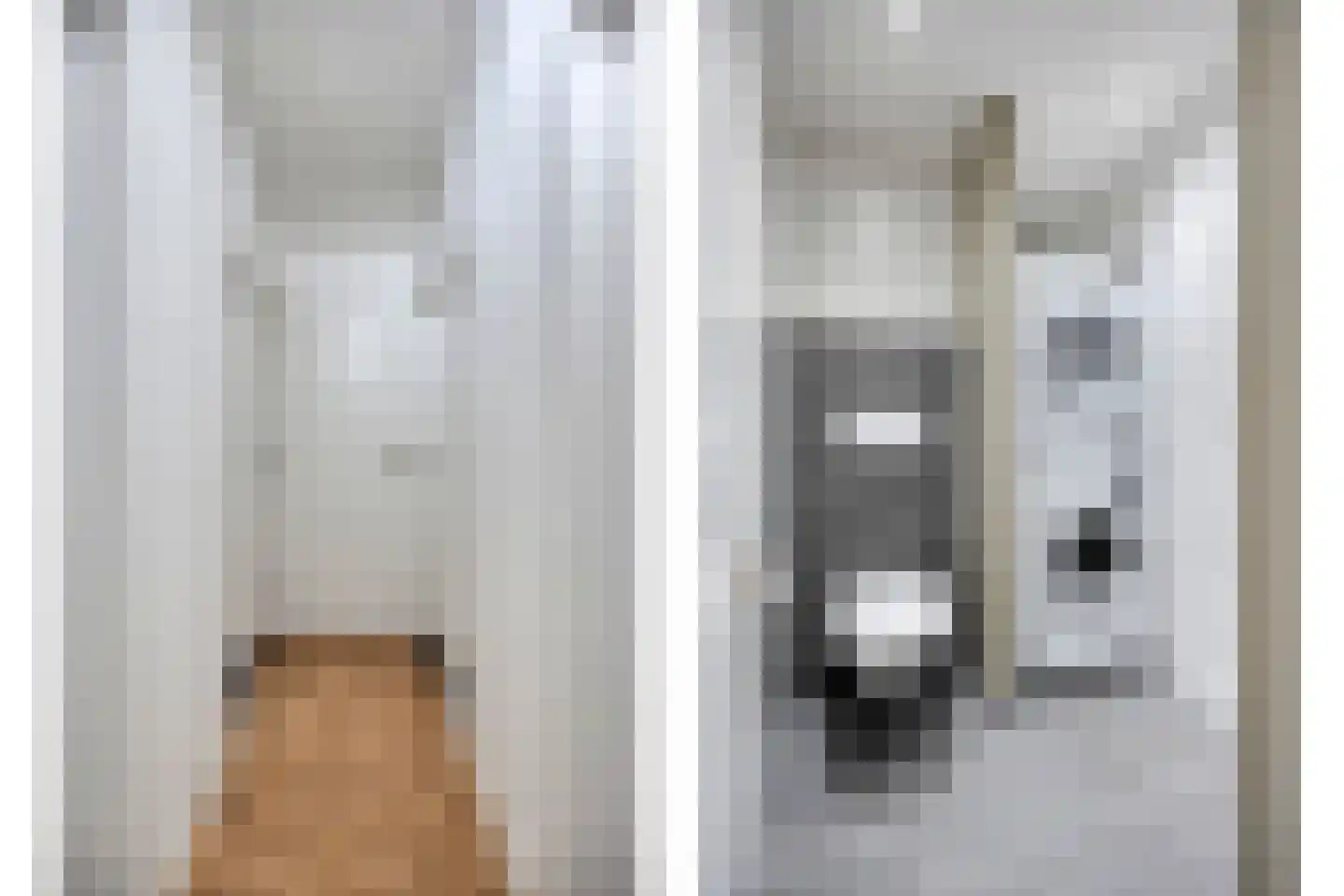 Théodore Schaepkensstraat 1 Herkenbosch thumbnail 22