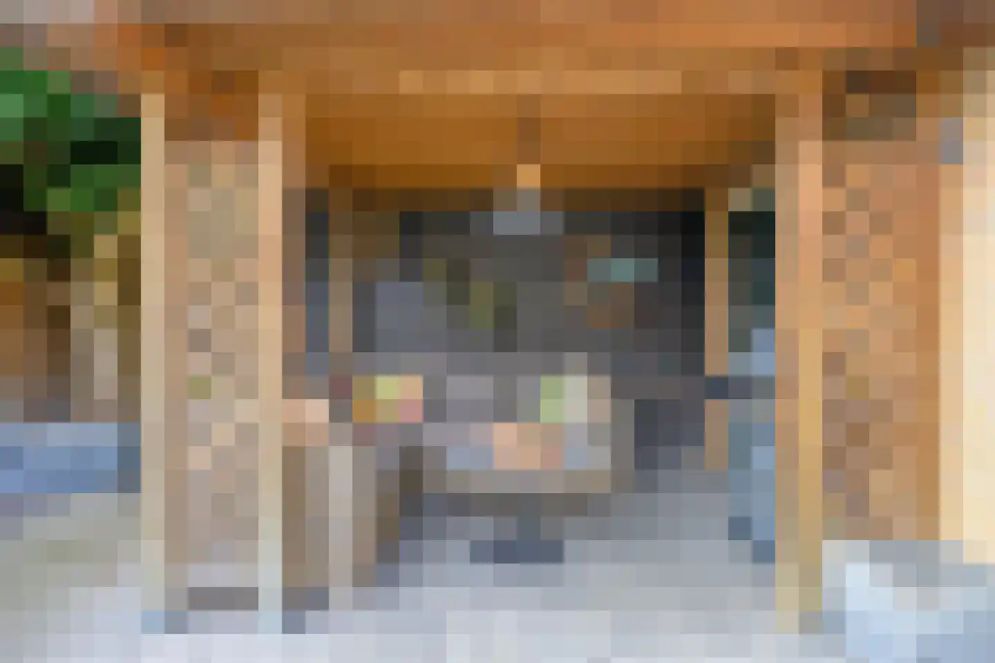 Théodore Schaepkensstraat 1 Herkenbosch thumbnail 27