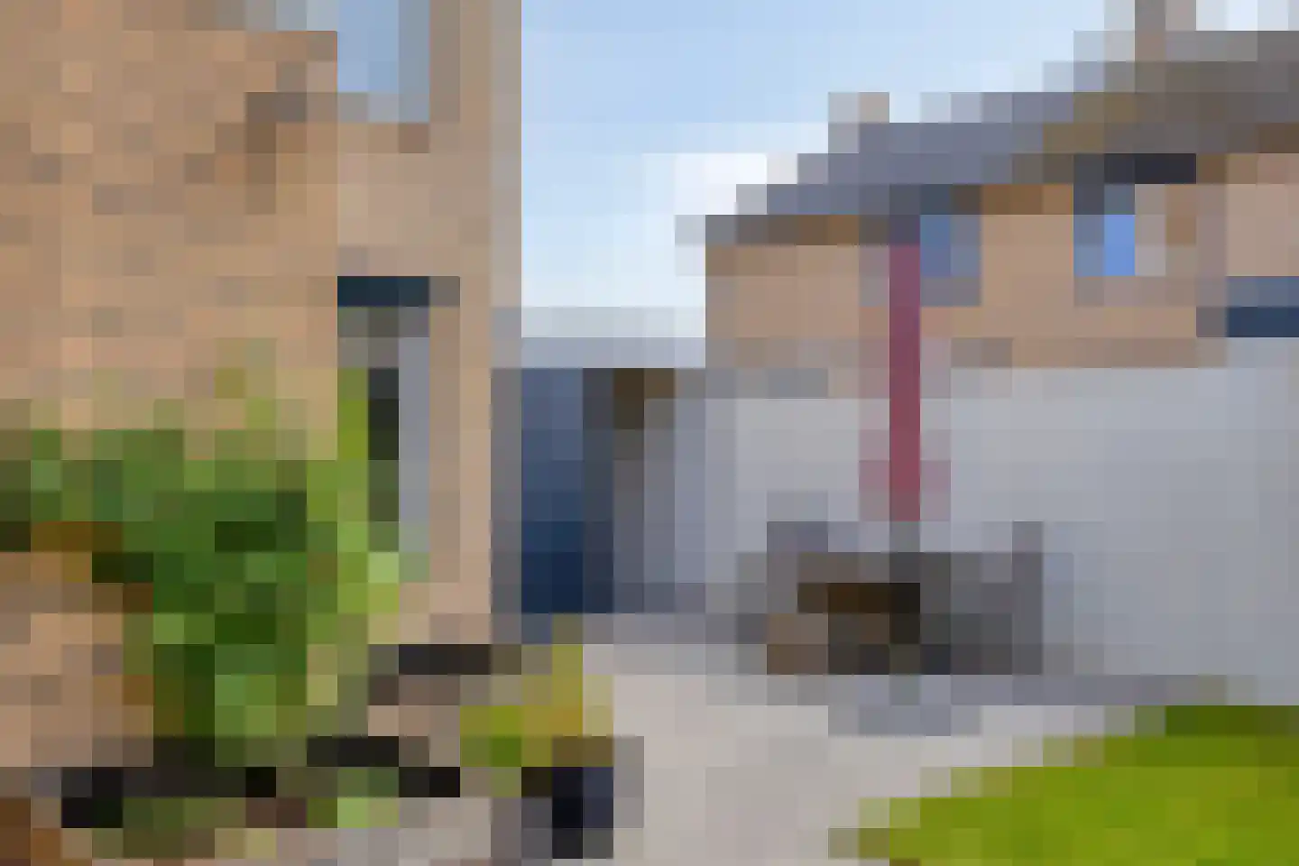 Théodore Schaepkensstraat 1 Herkenbosch thumbnail 30