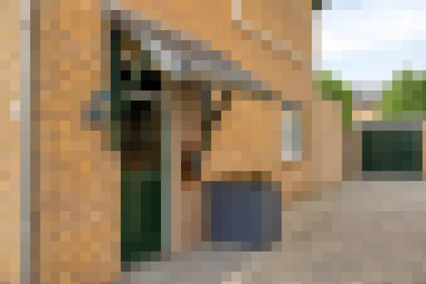 Théodore Schaepkensstraat 1 Herkenbosch thumbnail 31
