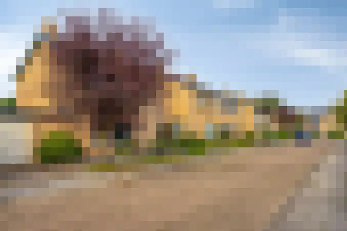 Théodore Schaepkensstraat 1 Herkenbosch thumbnail 33