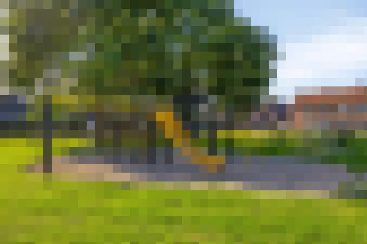 Théodore Schaepkensstraat 1 Herkenbosch thumbnail 37