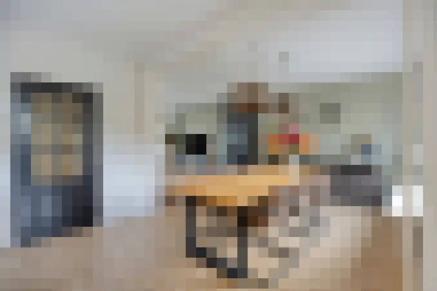 Théodore Schaepkensstraat 1 Herkenbosch thumbnail 8