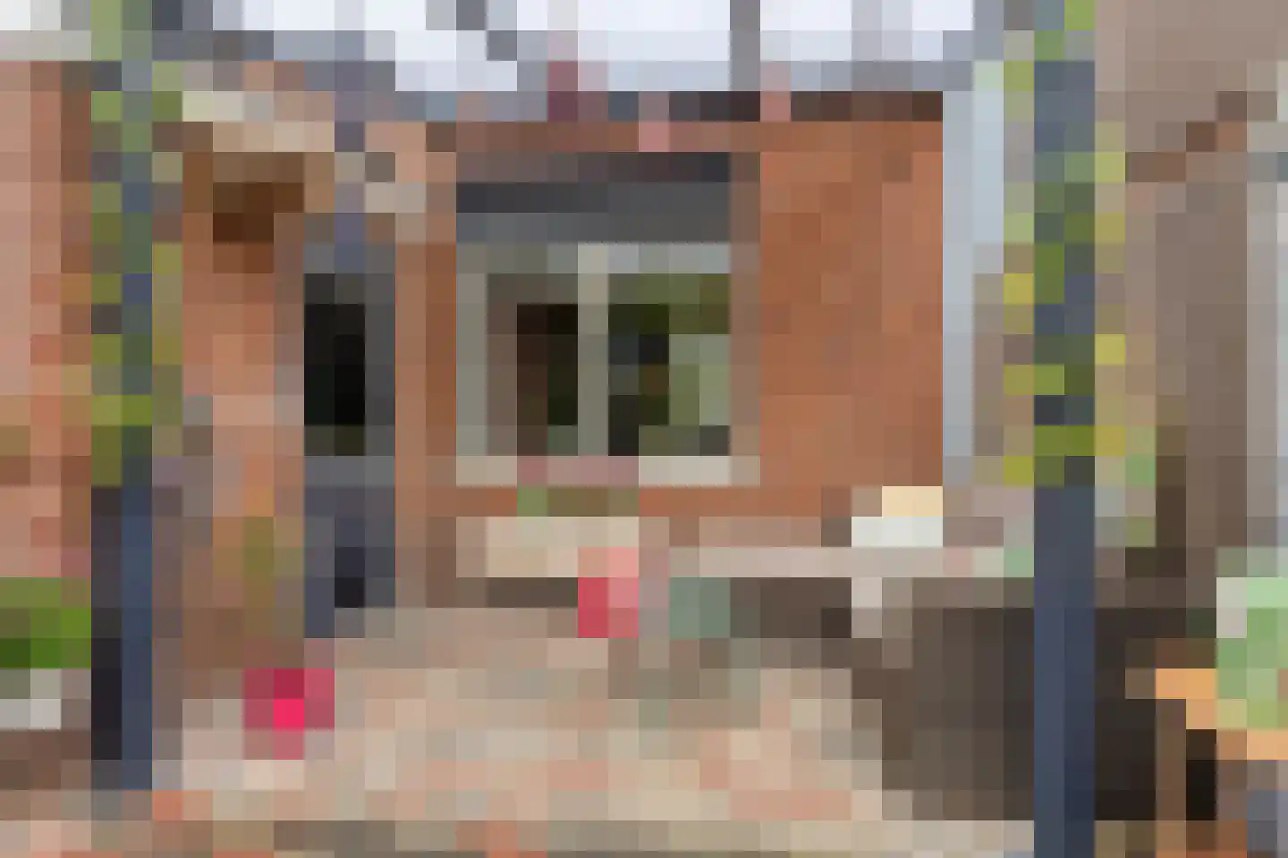 Theodorus Boomstraat 8 Gorinchem thumbnail 16