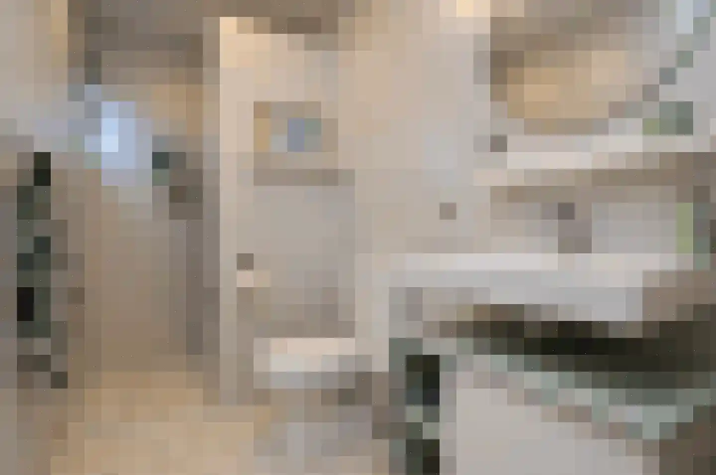 Theodorus de Smethstraat 2 Deurne thumbnail 26