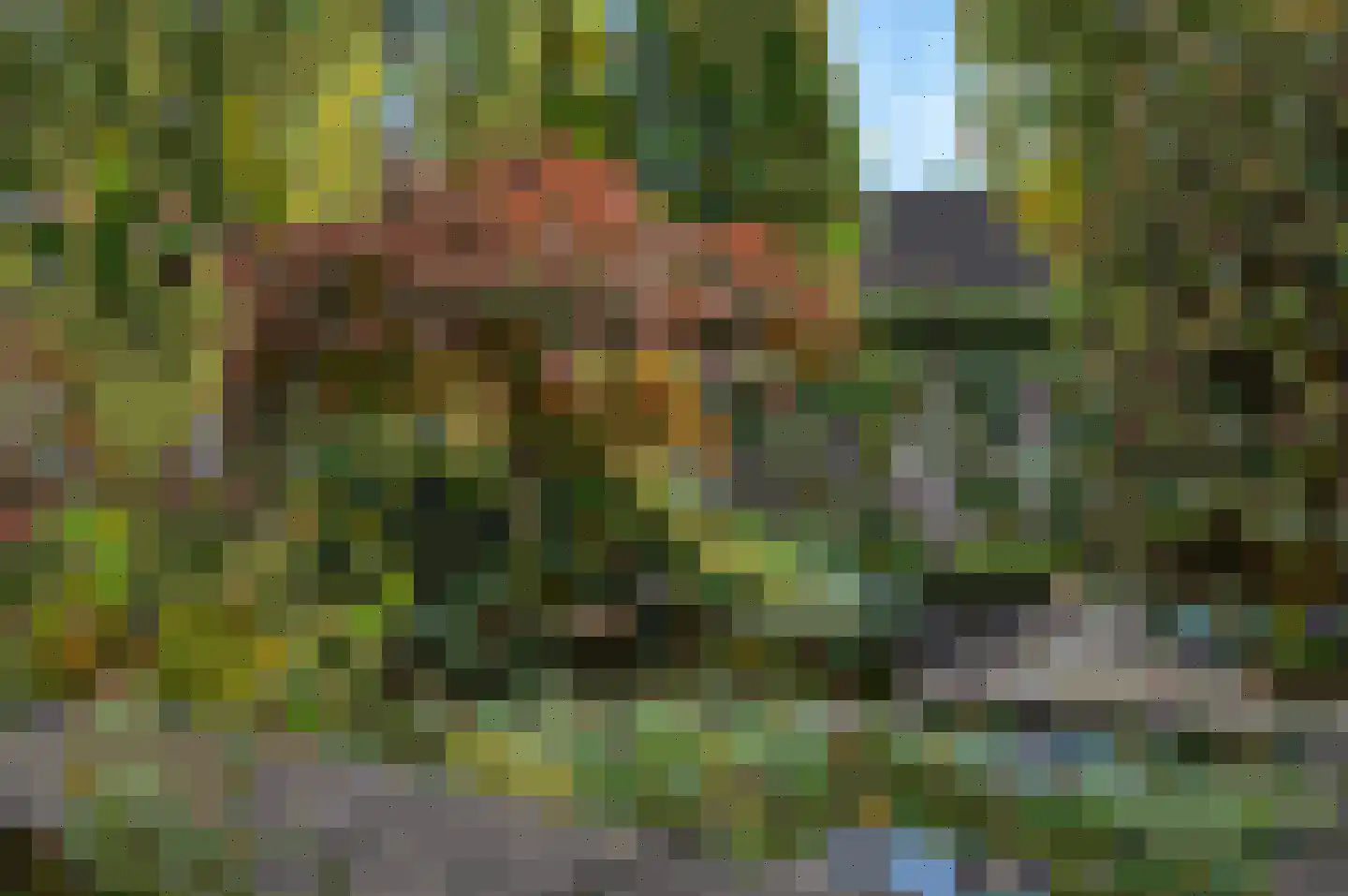 Theodorus de Smethstraat 2 Deurne thumbnail 30