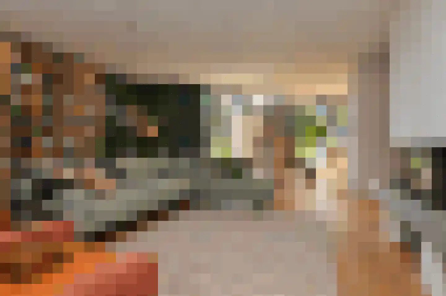 Theodorus de Smethstraat 2 Deurne thumbnail 8