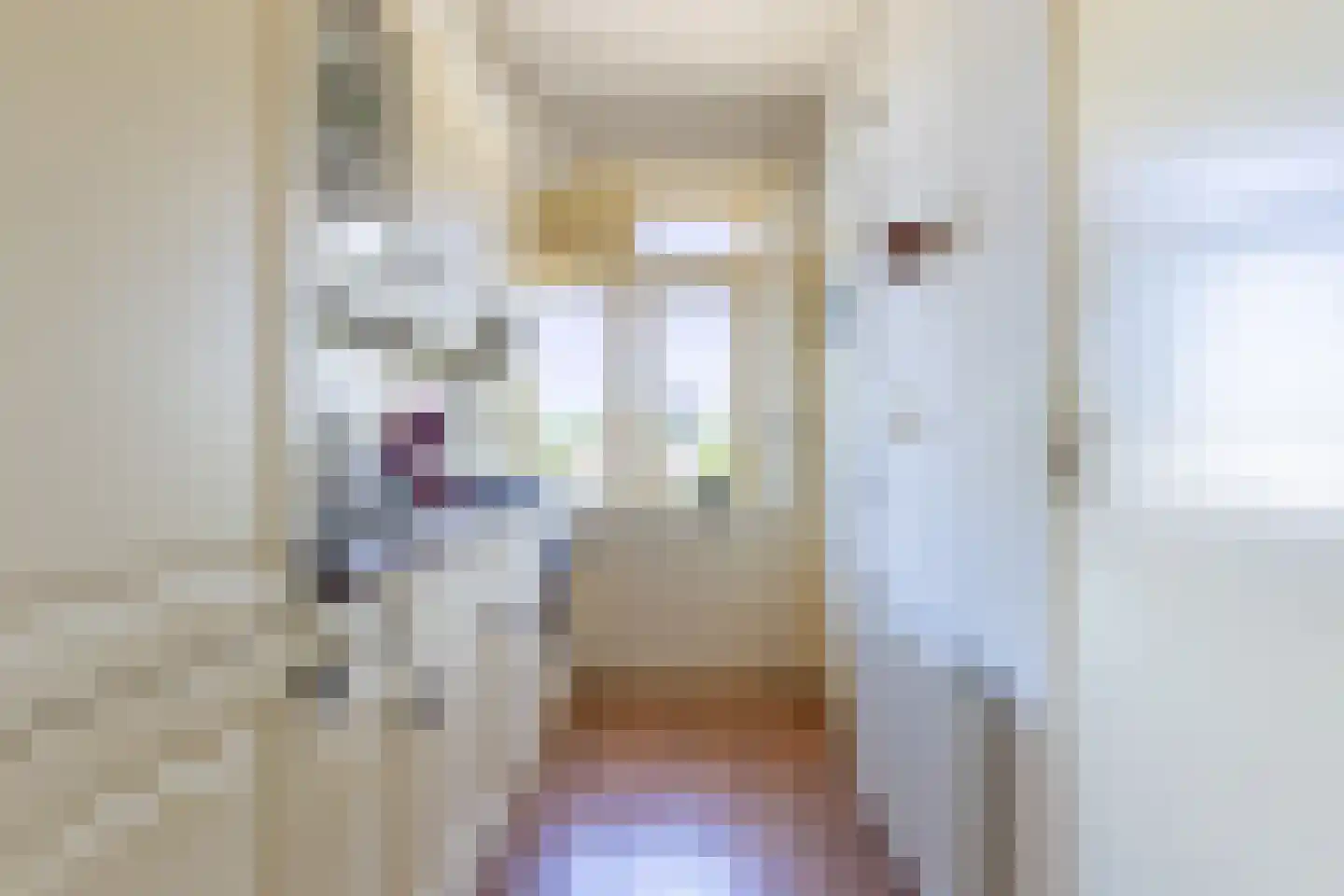 Theodorus Dobbestraat 72 3 Amsterdam thumbnail 4