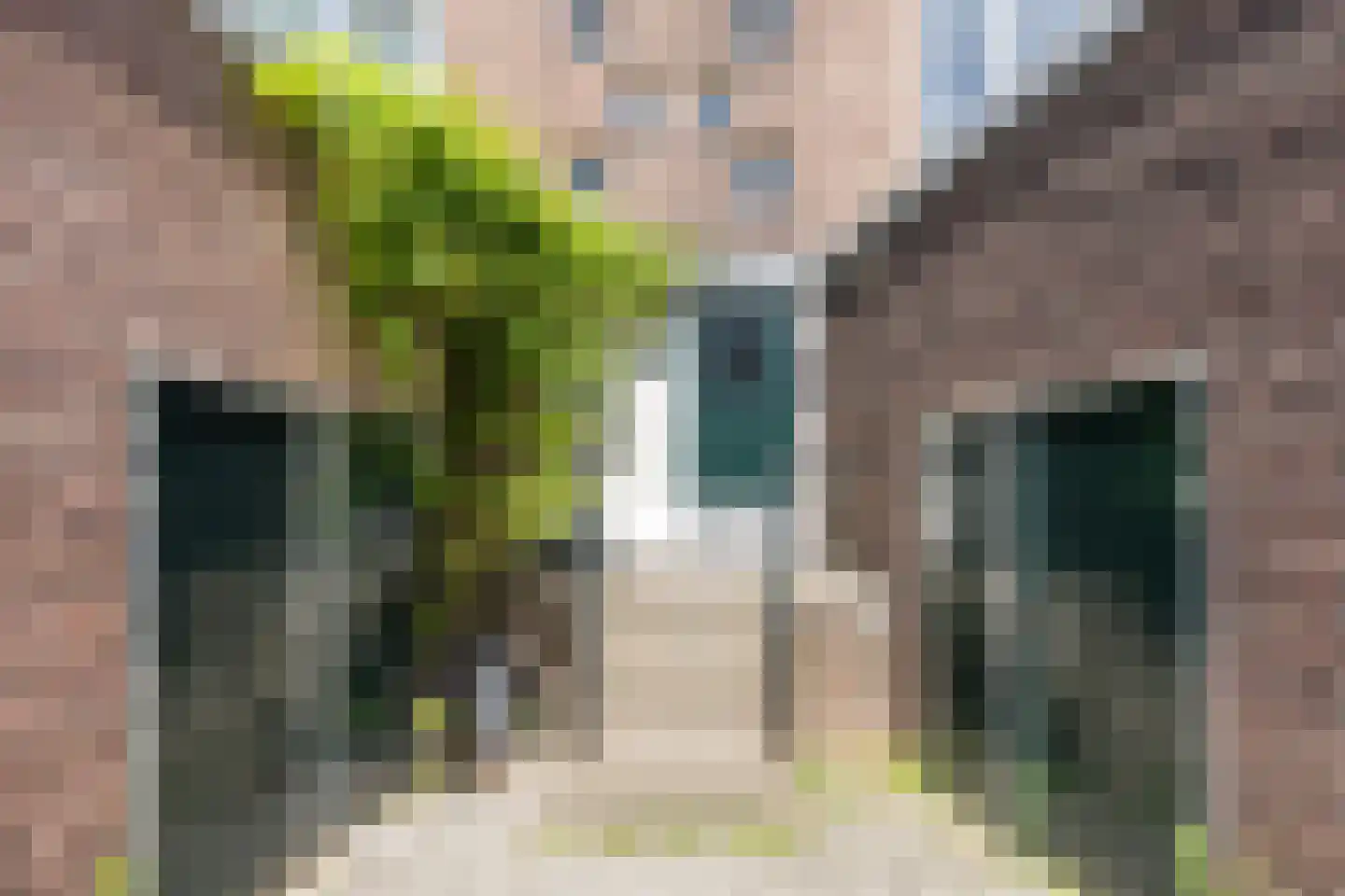Theodorus Dobbestraat 72 3 Amsterdam thumbnail 6