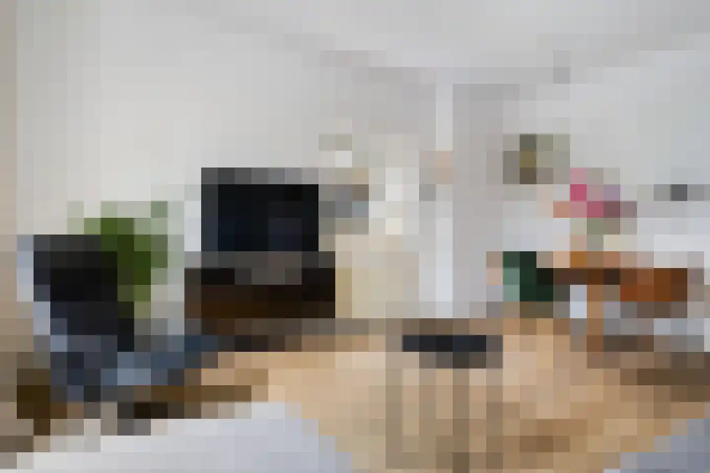 Theodorus Majofskistraat 1 H Amsterdam thumbnail 11