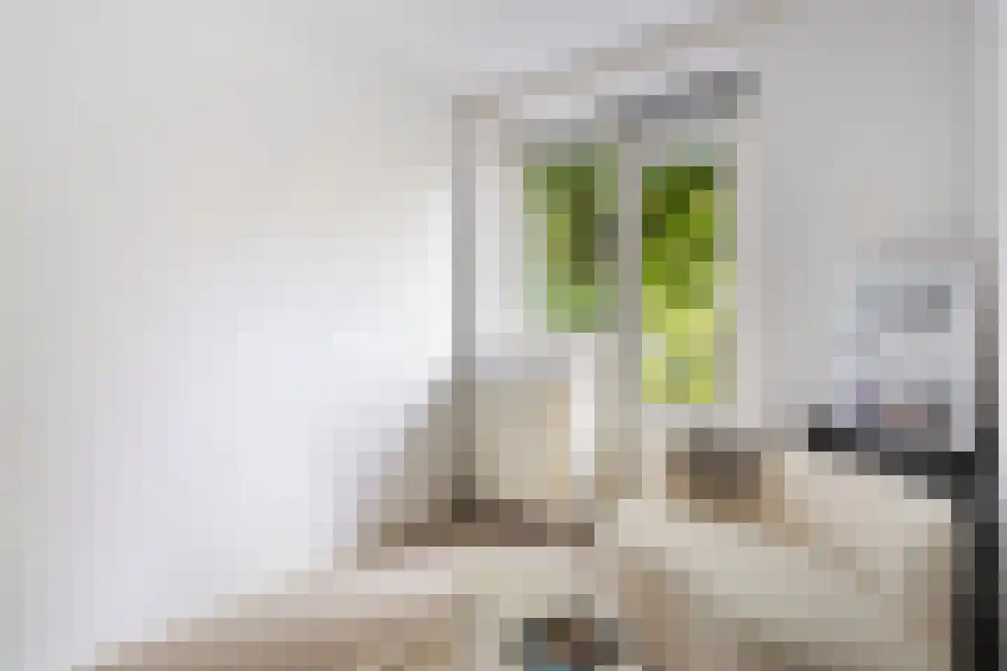 Theodorus Majofskistraat 1 H Amsterdam thumbnail 22