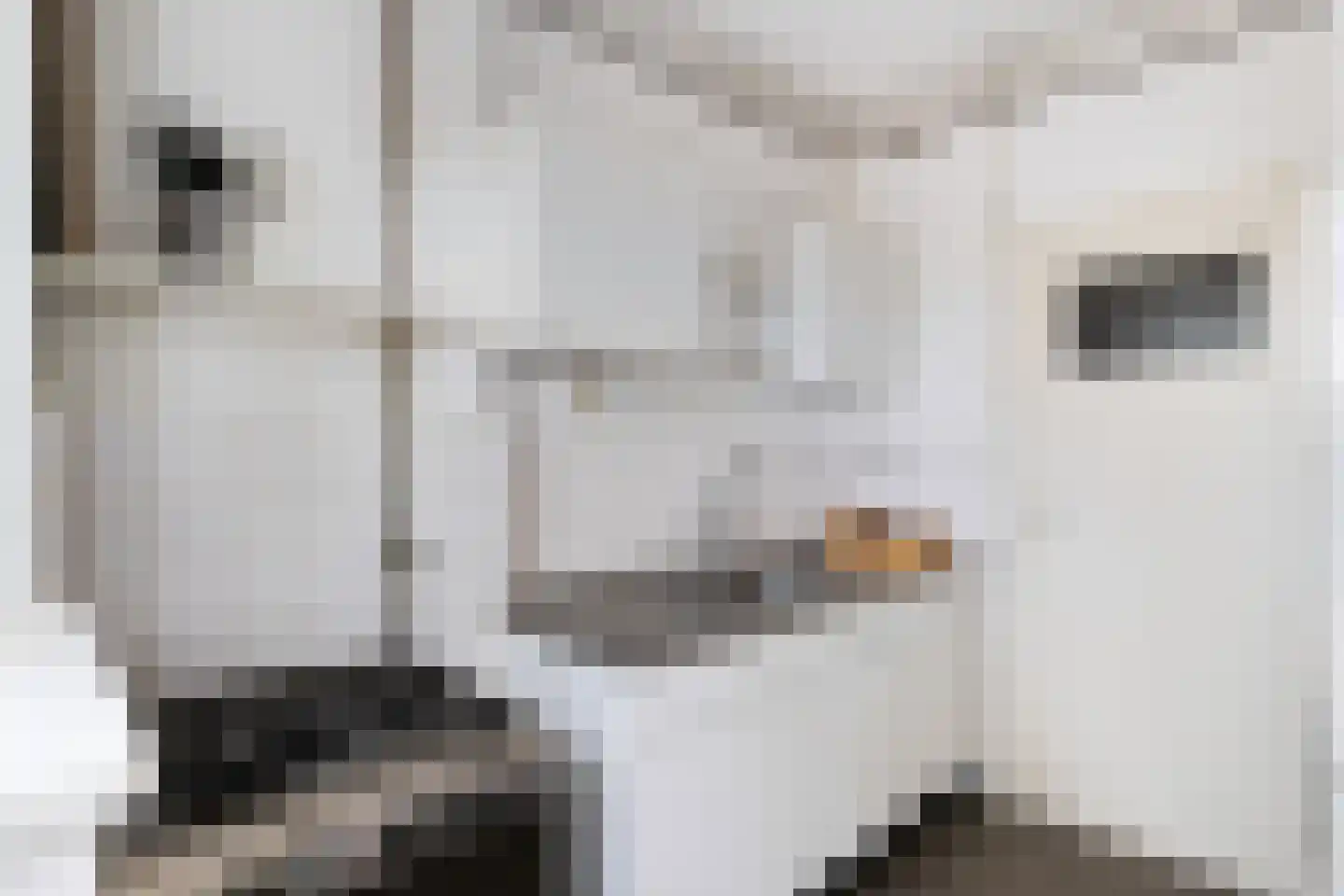 Theodorus Majofskistraat 1 H Amsterdam thumbnail 31