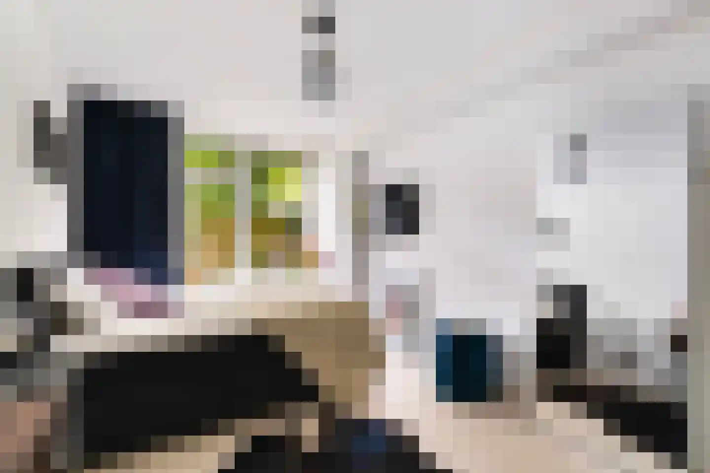 Theodorus Majofskistraat 1 H Amsterdam thumbnail 34