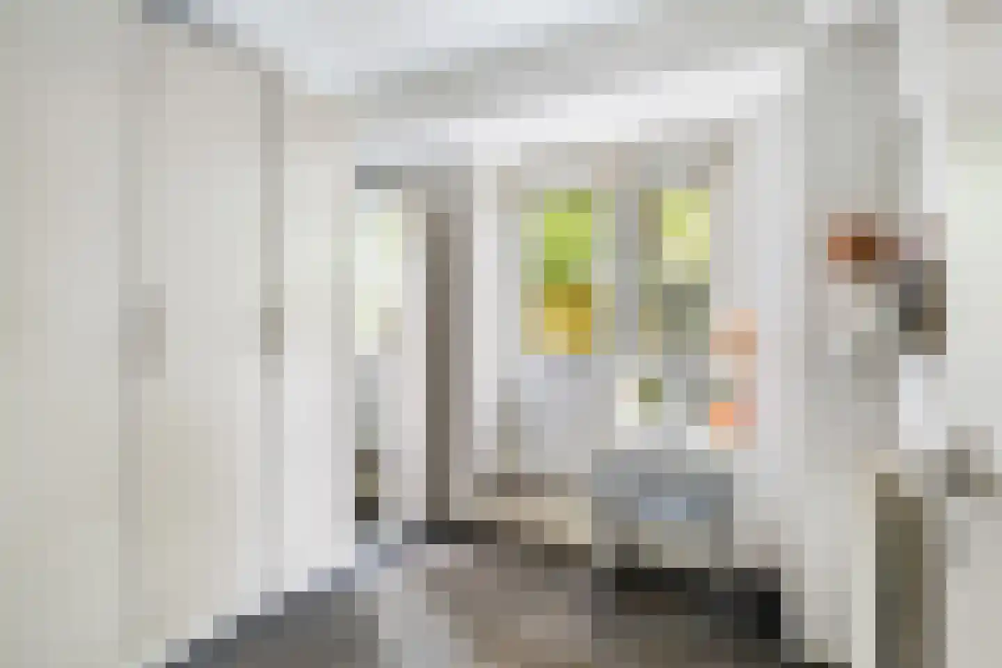 Theodorus Majofskistraat 1 H Amsterdam thumbnail 38