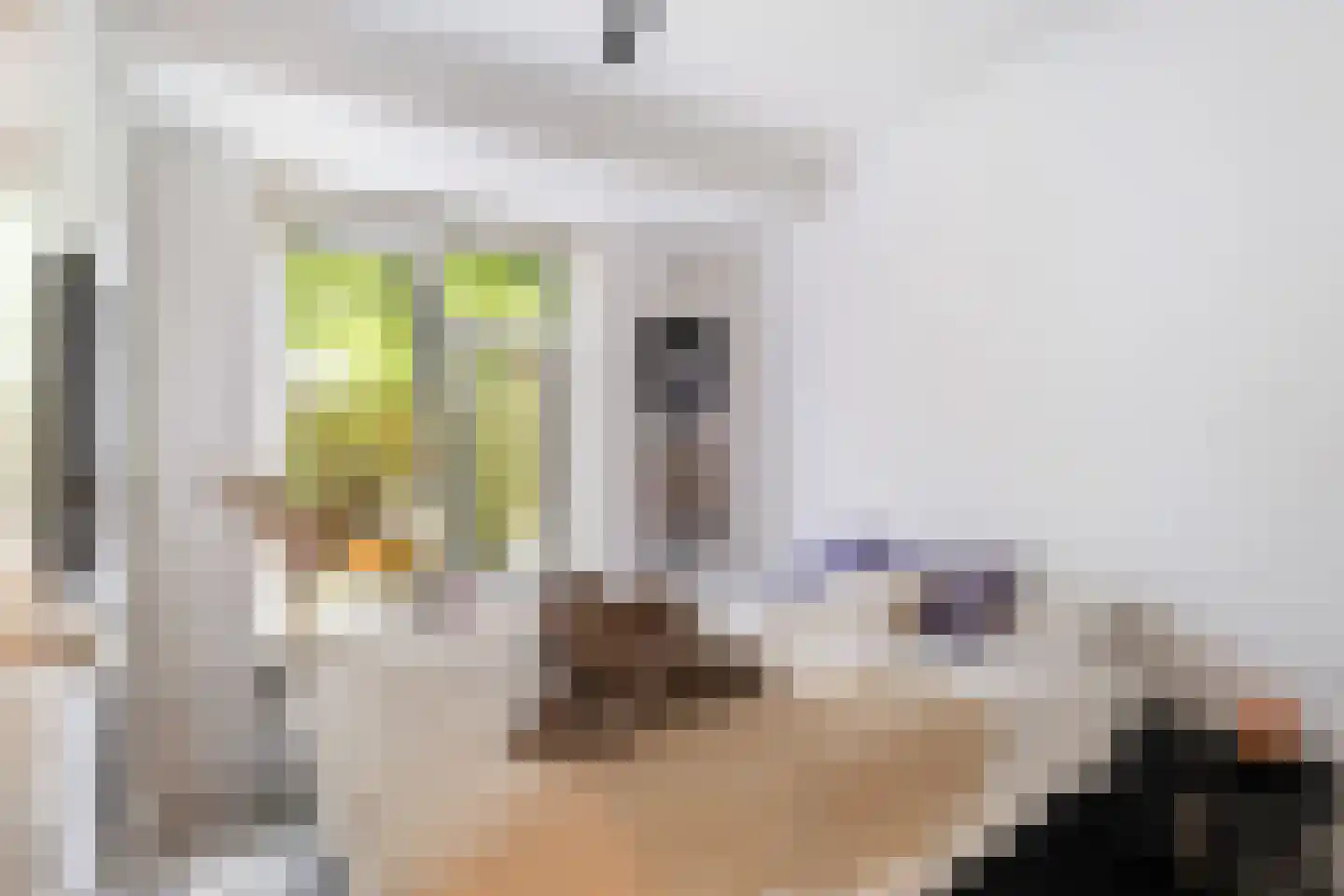 Theodorus Majofskistraat 1 H Amsterdam thumbnail 40