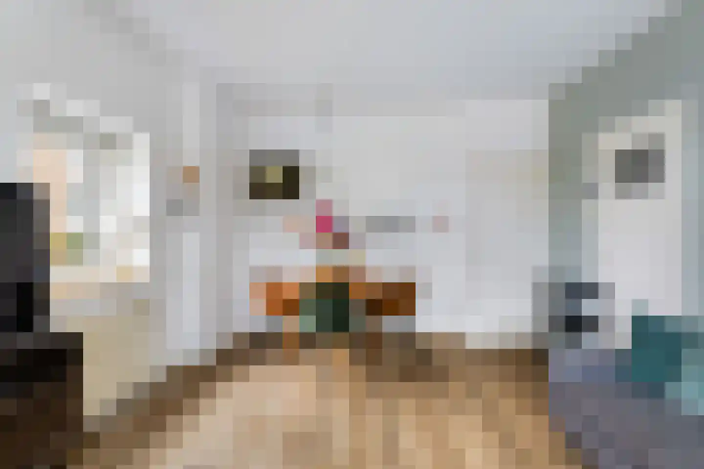 Theodorus Majofskistraat 1 H Amsterdam thumbnail 9