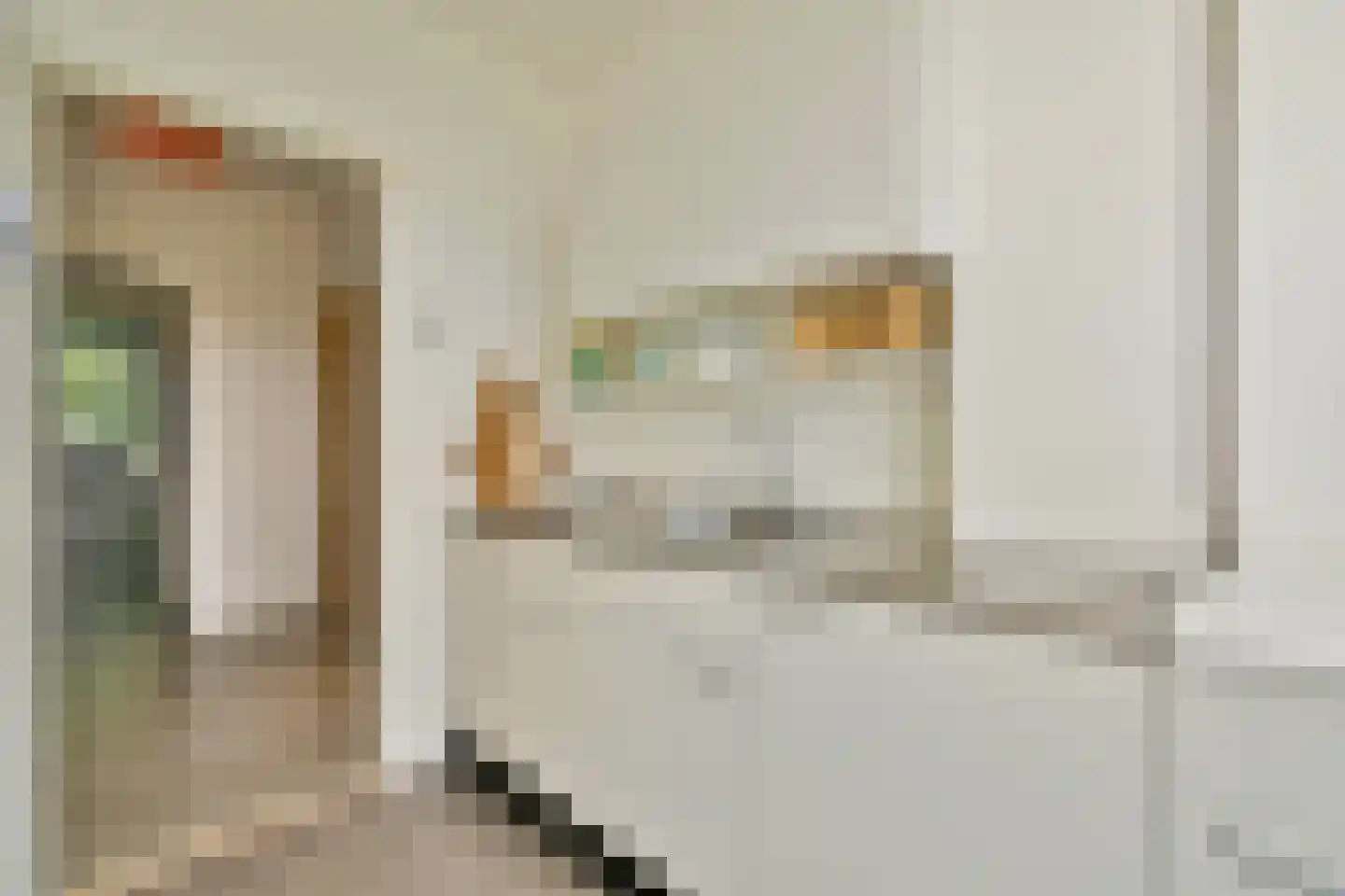 Theodorus Majofskistraat 15 3 Amsterdam thumbnail 15