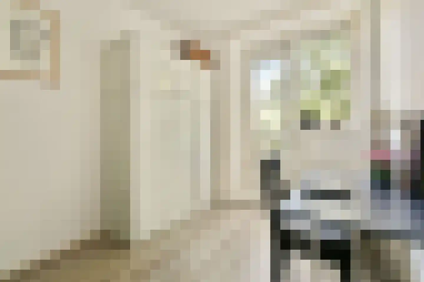 Theodorus Majofskistraat 15 3 Amsterdam thumbnail 24