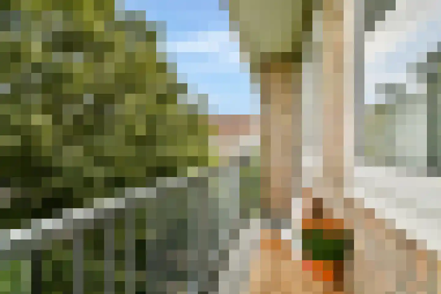 Theodorus Majofskistraat 15 3 Amsterdam thumbnail 28
