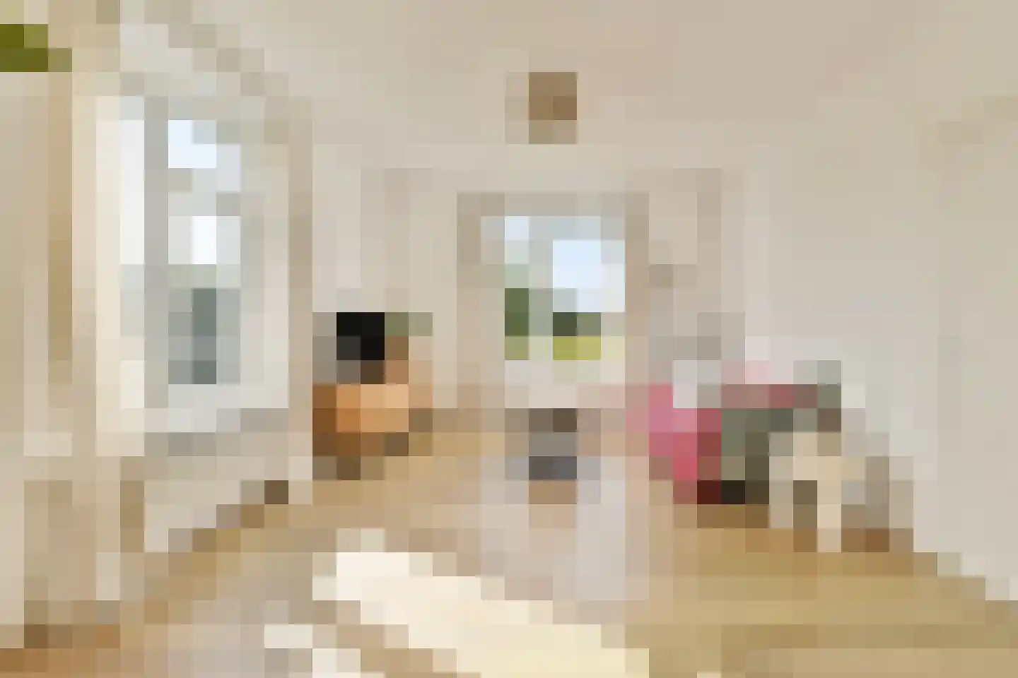 Theodorus Majofskistraat 15 3 Amsterdam thumbnail 4