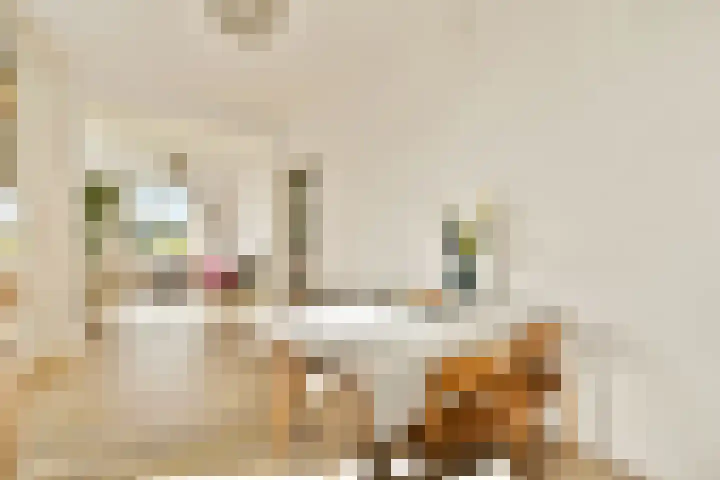 Theodorus Majofskistraat 15 3 Amsterdam thumbnail 8