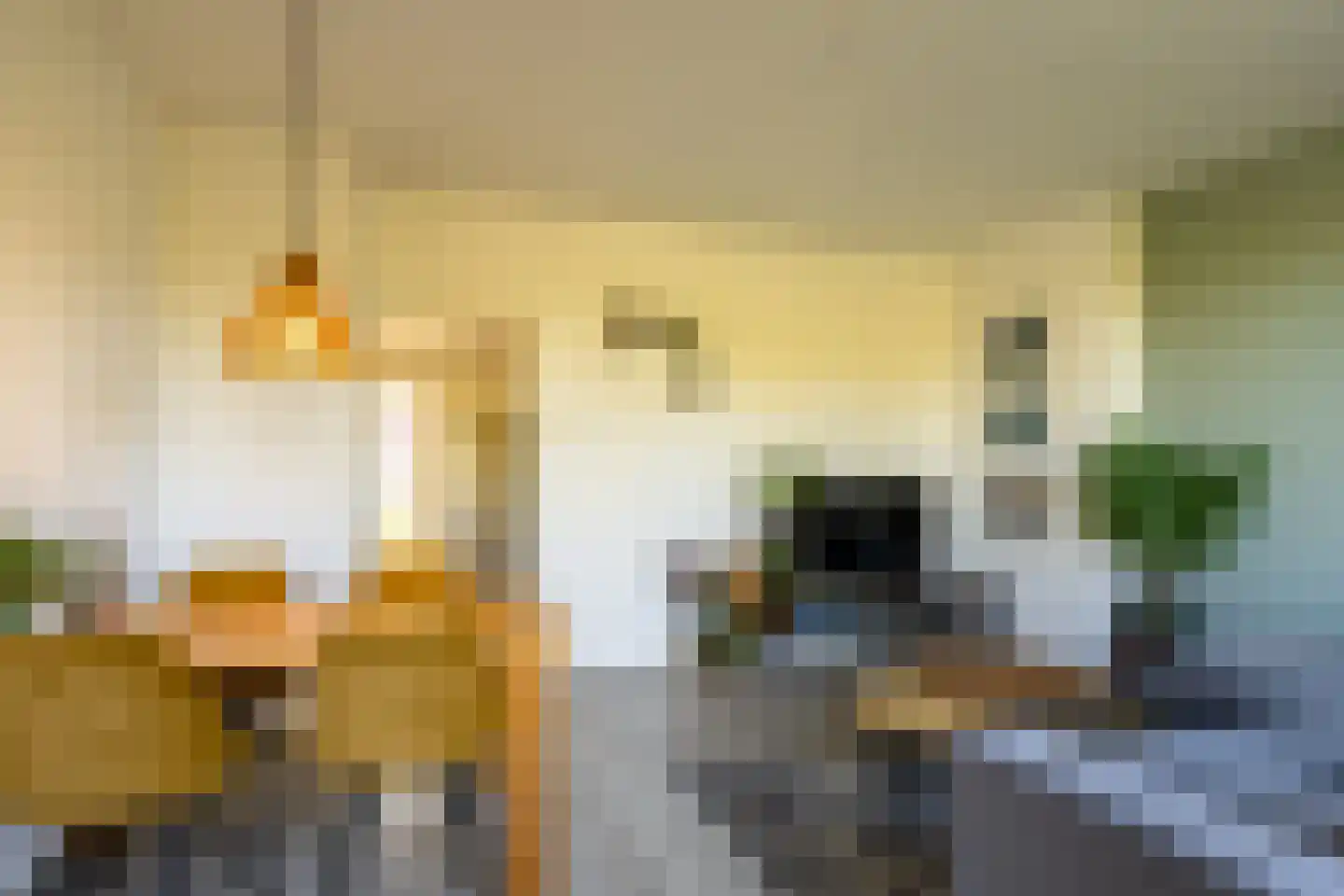 Theodorus Majofskistraat 21 3 Amsterdam thumbnail 13