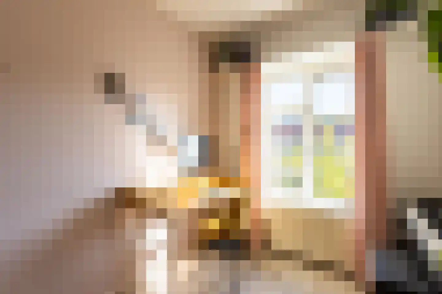 Theodorus Majofskistraat 21 3 Amsterdam thumbnail 31