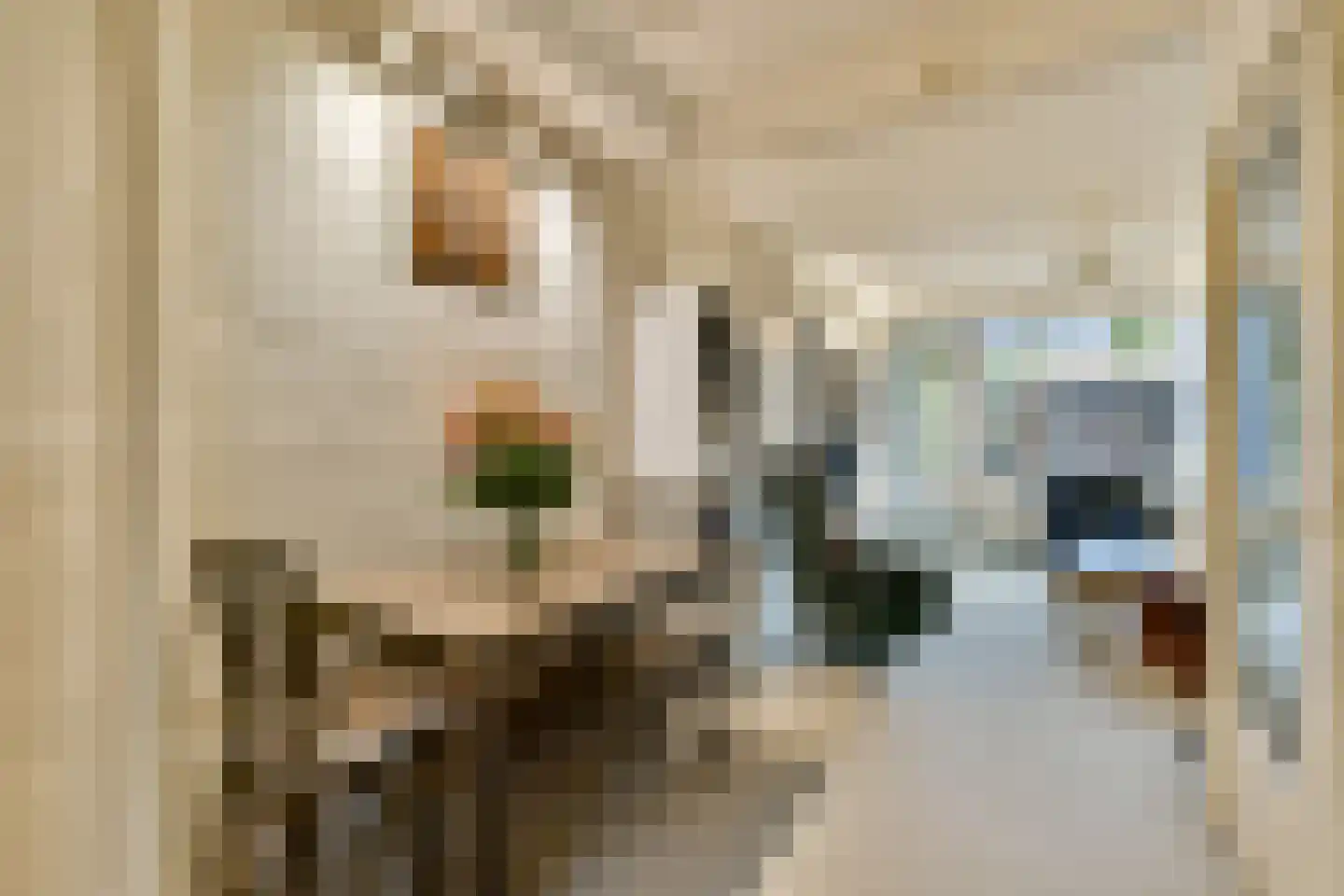 Theodorus Majofskistraat 38 Amsterdam thumbnail 10