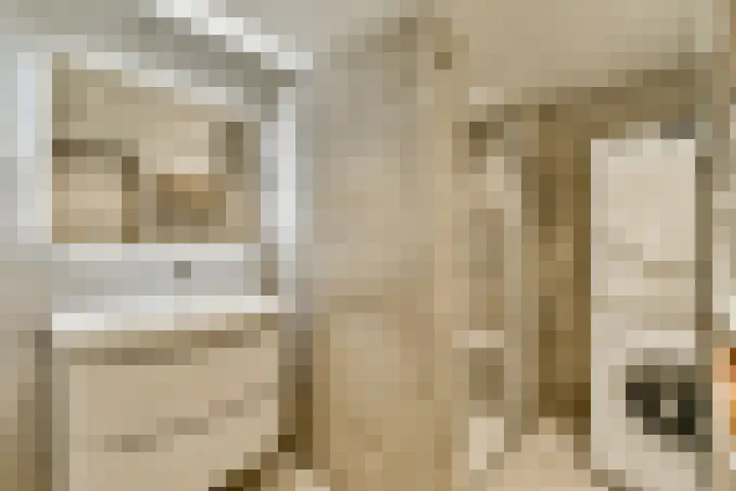Theodorus Majofskistraat 38 Amsterdam thumbnail 12
