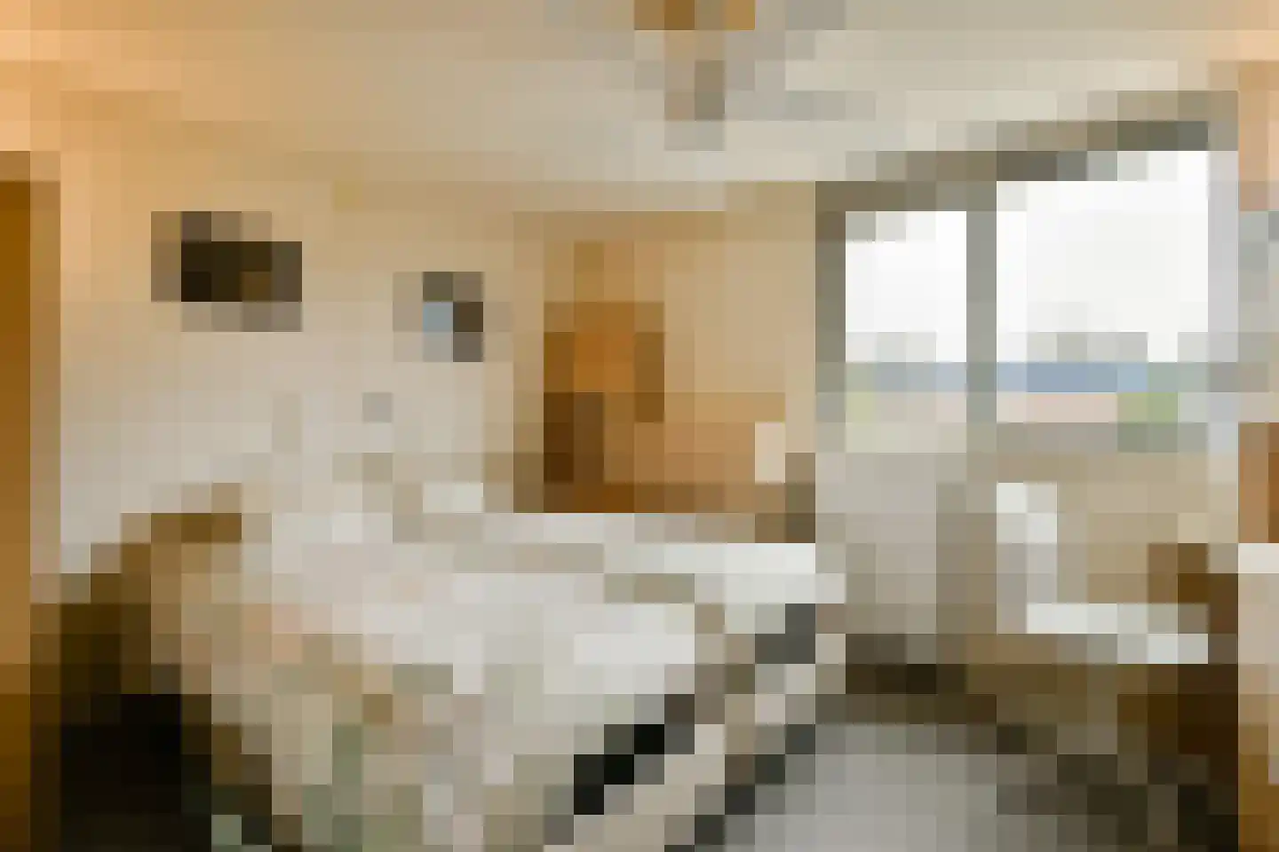 Theodorus Majofskistraat 38 Amsterdam thumbnail 14