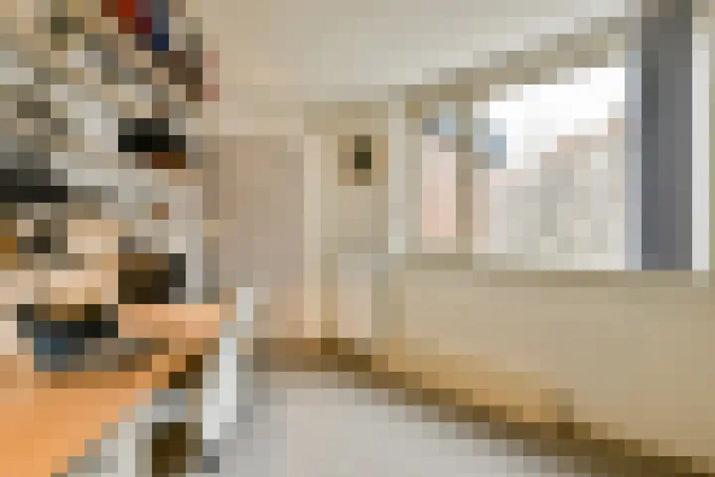 Theodorus Majofskistraat 38 Amsterdam thumbnail 18