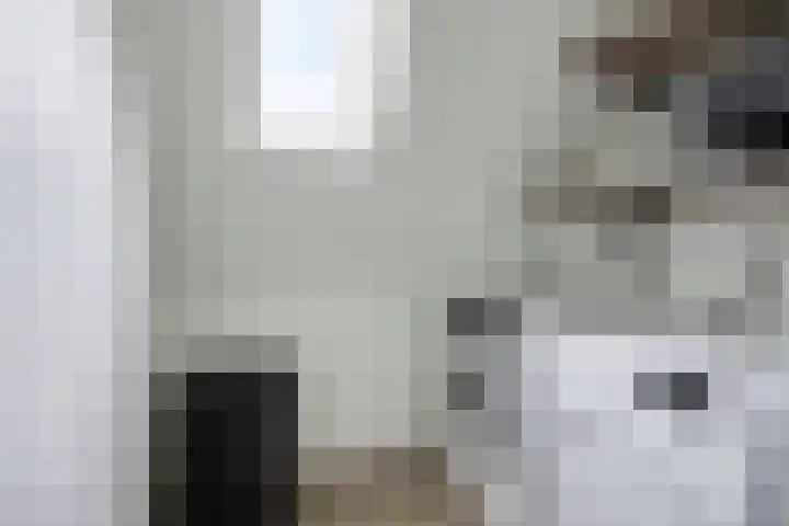 Theodorus Rijkenstraat 15 C Elshout thumbnail 23