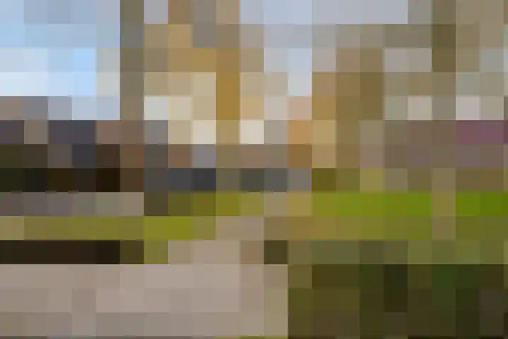 Theodorus Rijkenstraat 15 C Elshout thumbnail 35