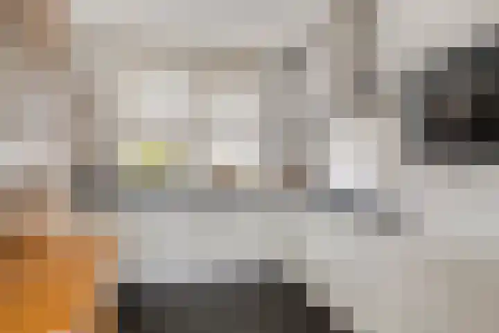 Theodorus Rijkenstraat 15 E Elshout thumbnail 13