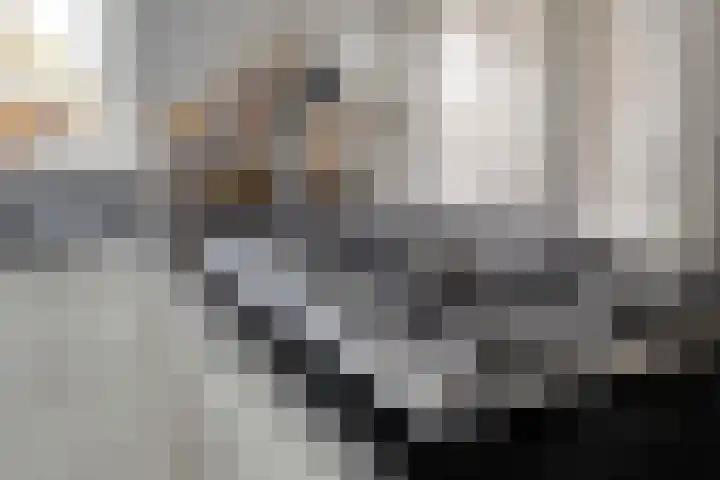 Theodorus Rijkenstraat 15 E Elshout thumbnail 15