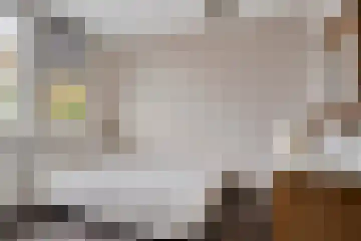 Theodorus Rijkenstraat 15 E Elshout thumbnail 22