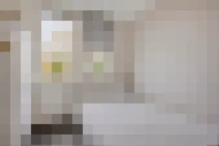 Theodorus Rijkenstraat 15 E Elshout thumbnail 23