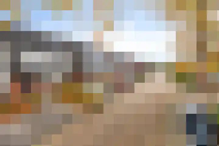 Theodorus Rijkenstraat 15 E Elshout thumbnail 4