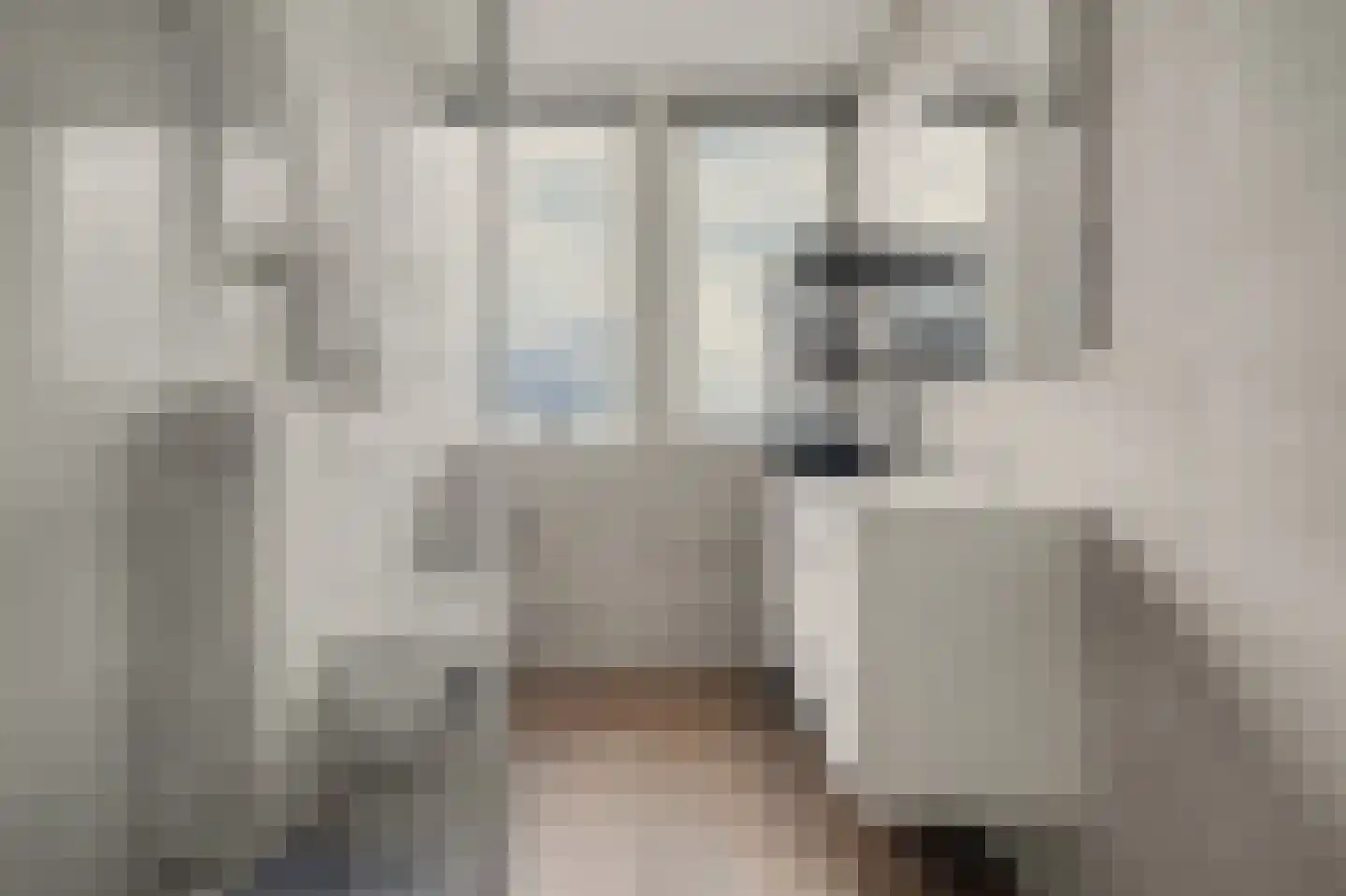 Theodorus Rijkenstraat 17 A Elshout thumbnail 12
